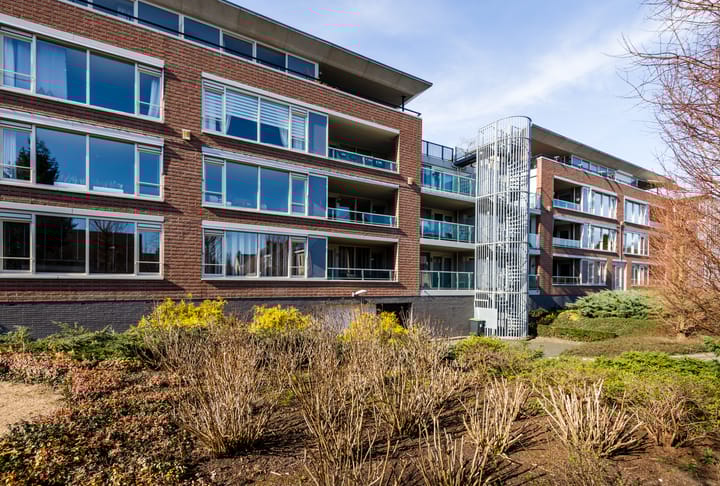 Foto 28 van Florastate 38