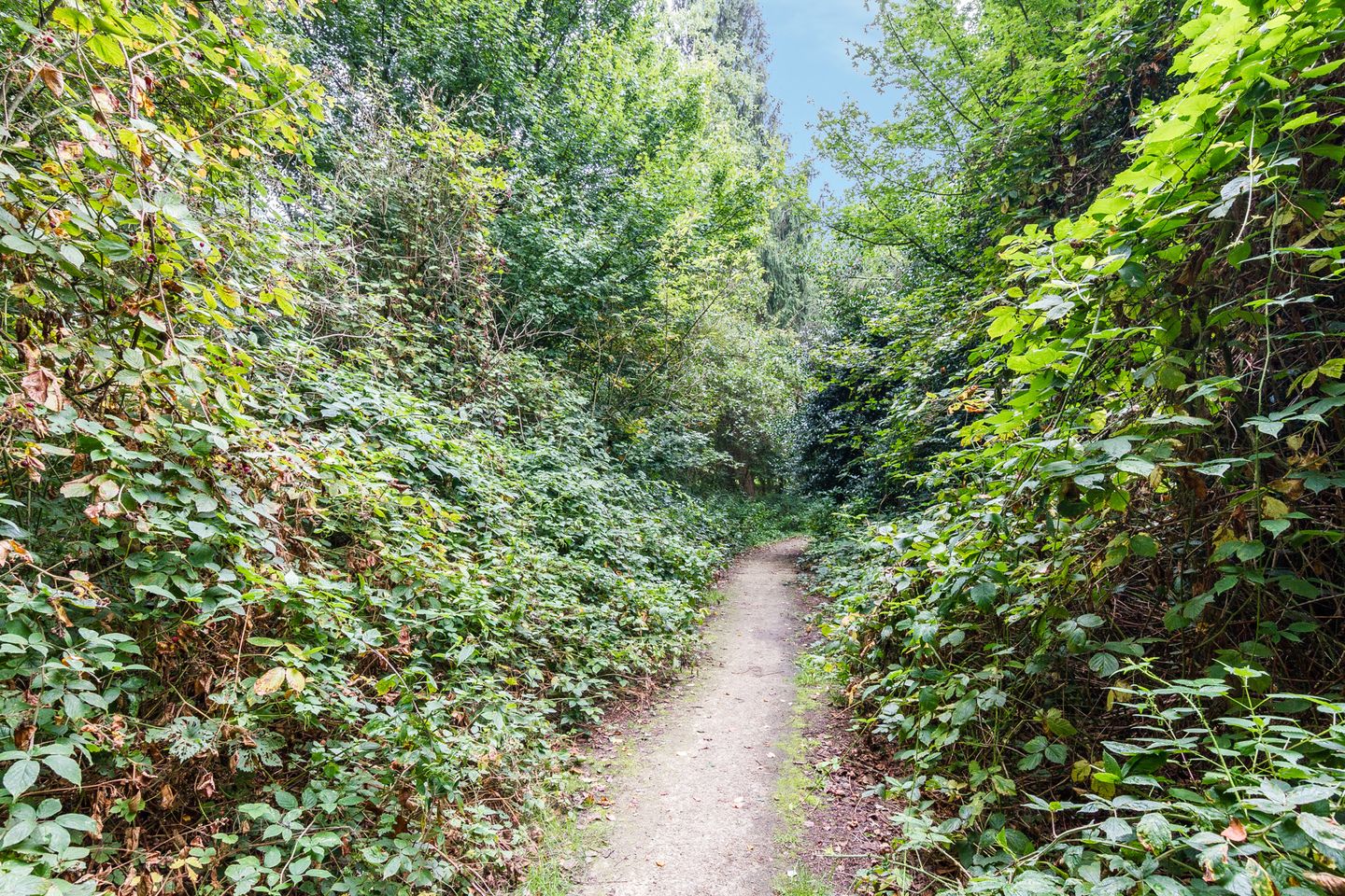 Foto 29 van Florastate 38