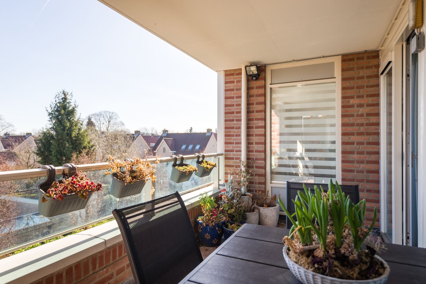 Foto 4 van Florastate 38