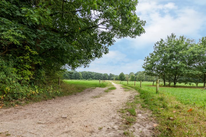 Foto 40 van Florastate 38