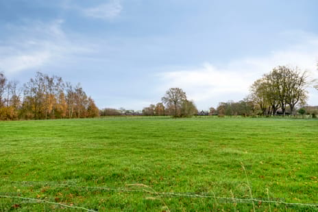 Goudenregenstraat 42 tertiary image