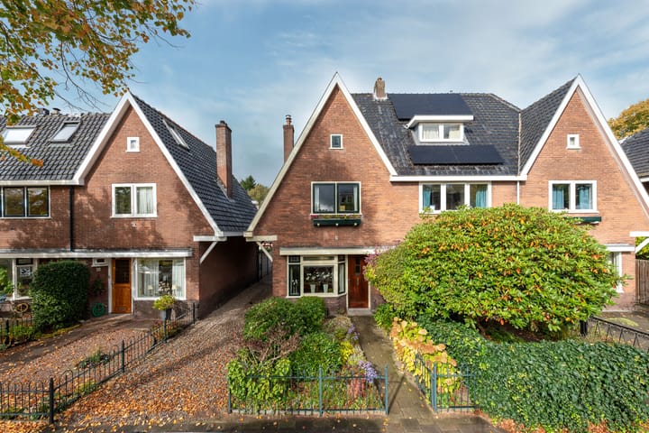 Photo 45 of Nepveulaan 95