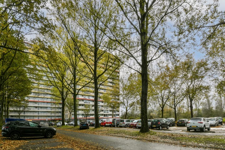 Photo 4 of Oost-Dorsch 134