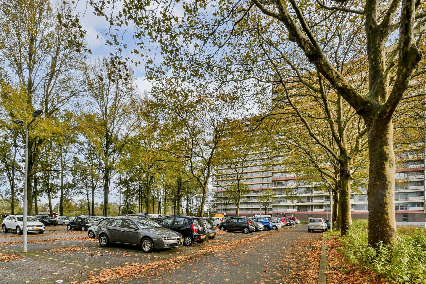 Photo 5 of Oost-Dorsch 134