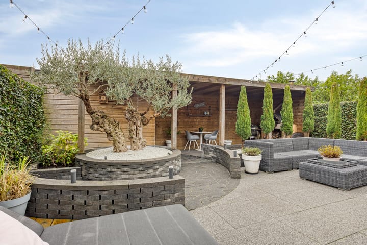 Foto 5 van Berkenblad 14