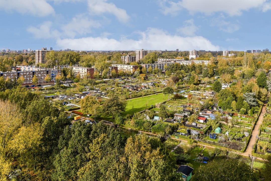 Photo 26 of Oost-Dorsch 134