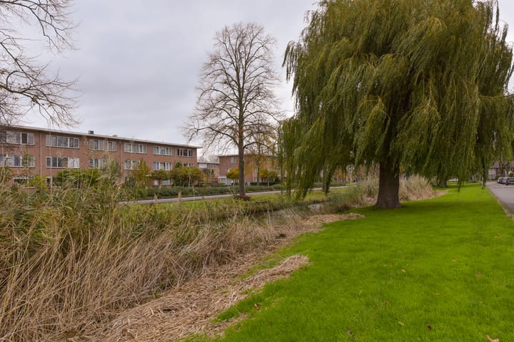 Foto 29 van Colijnlaan 184