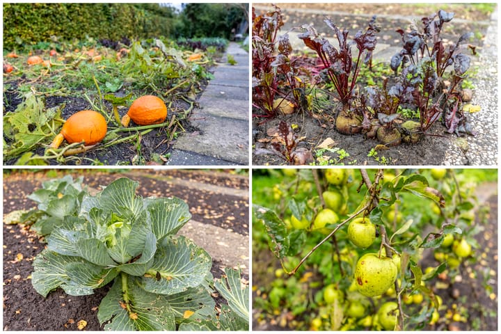 Foto 33 van Hoogeinde 12