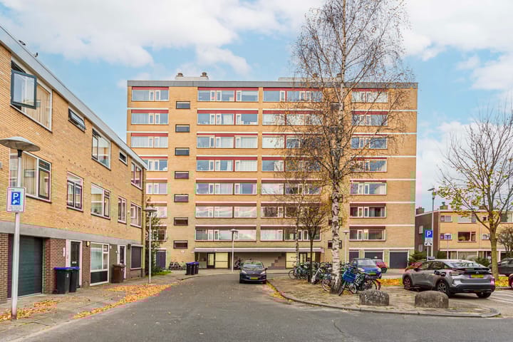 Photo 1 of Fruinplantsoen 38