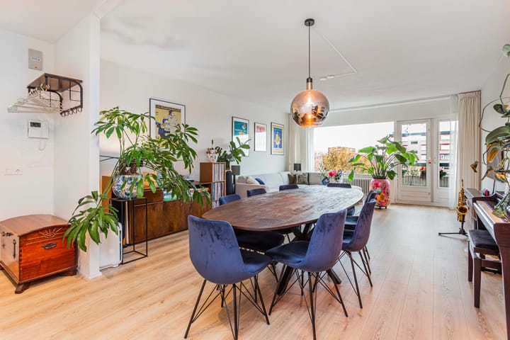 Photo 3 of Fruinplantsoen 38