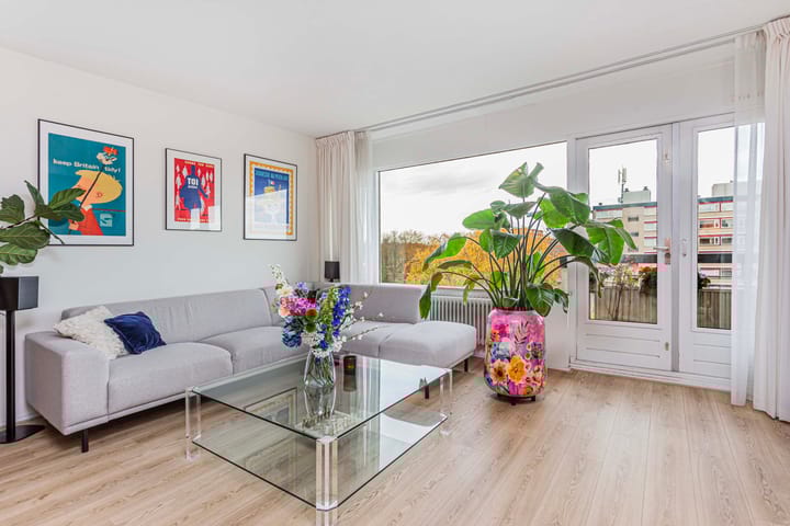 Photo 4 of Fruinplantsoen 38