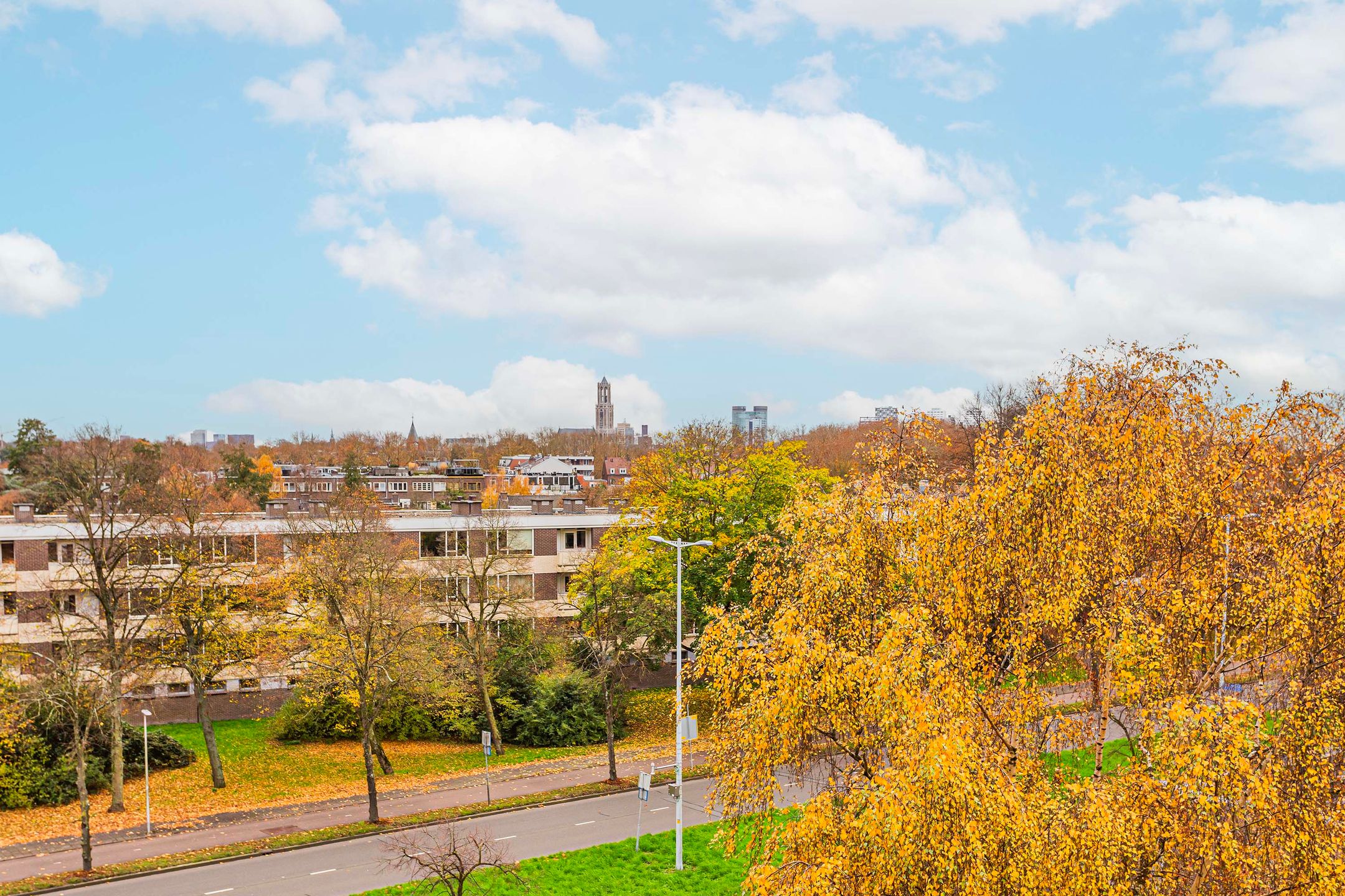 Foto 6 van Fruinplantsoen 38