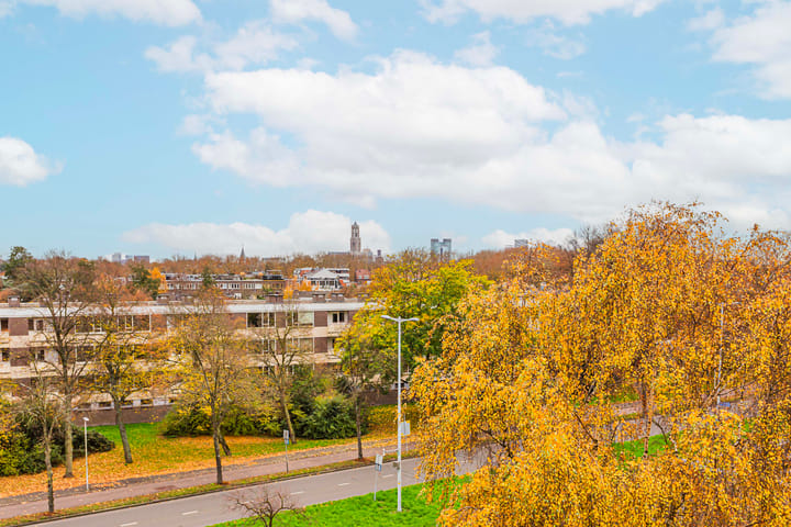 Photo 6 of Fruinplantsoen 38