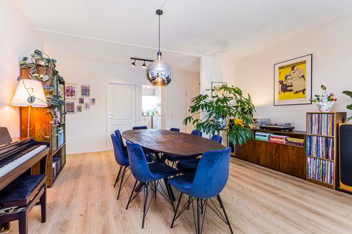 Photo 9 of Fruinplantsoen 38