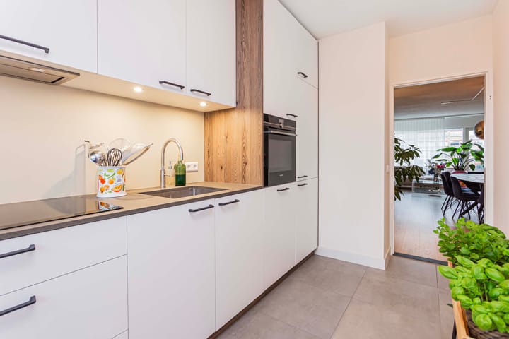 Photo 11 of Fruinplantsoen 38