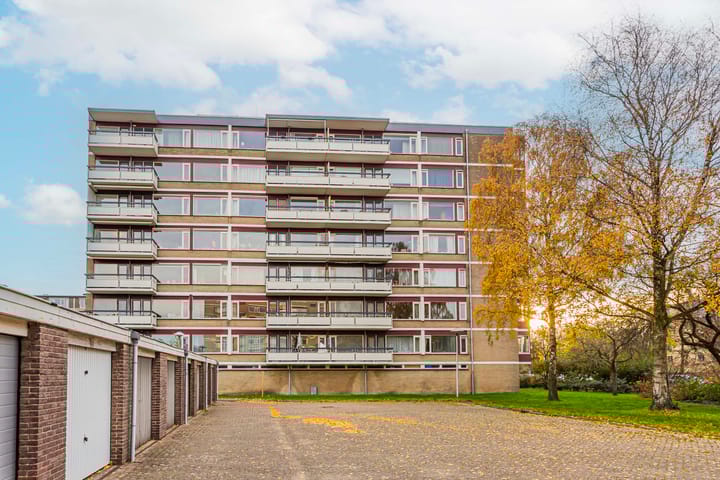 Photo 22 of Fruinplantsoen 38