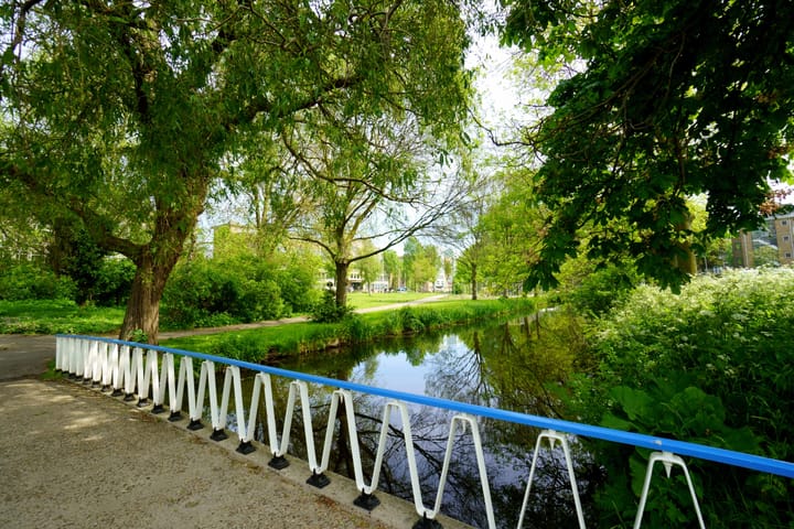 Foto 37 van Stadhoudersplantsoen 154