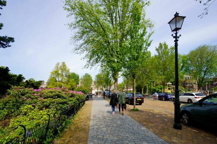 Foto 39 van Stadhoudersplantsoen 154