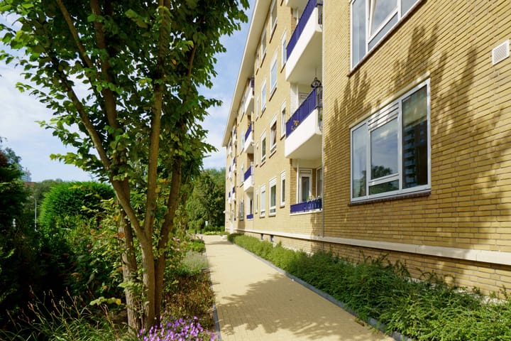 Foto 34 van Stadhoudersplantsoen 154