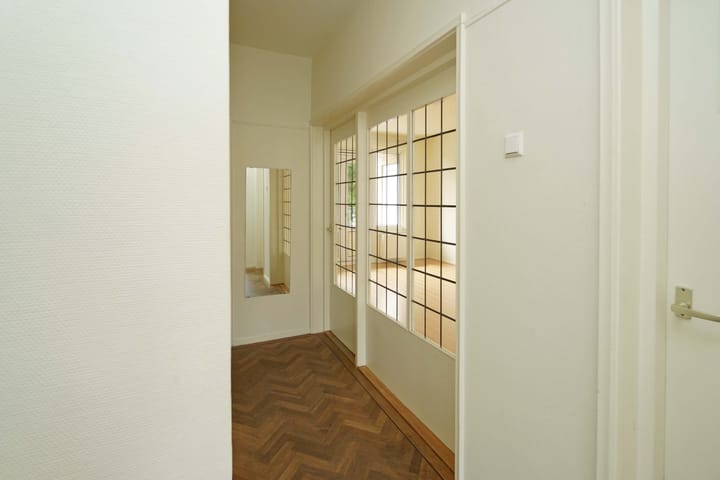 Foto 4 van Stadhoudersplantsoen 154