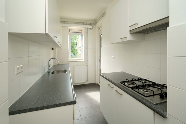 Foto 10 van Stadhoudersplantsoen 154