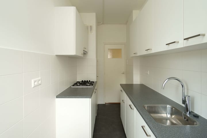 Foto 11 van Stadhoudersplantsoen 154