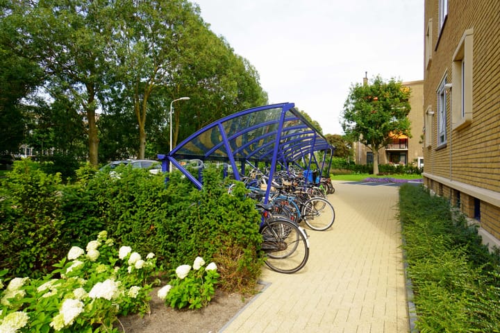 Foto 38 van Stadhoudersplantsoen 154