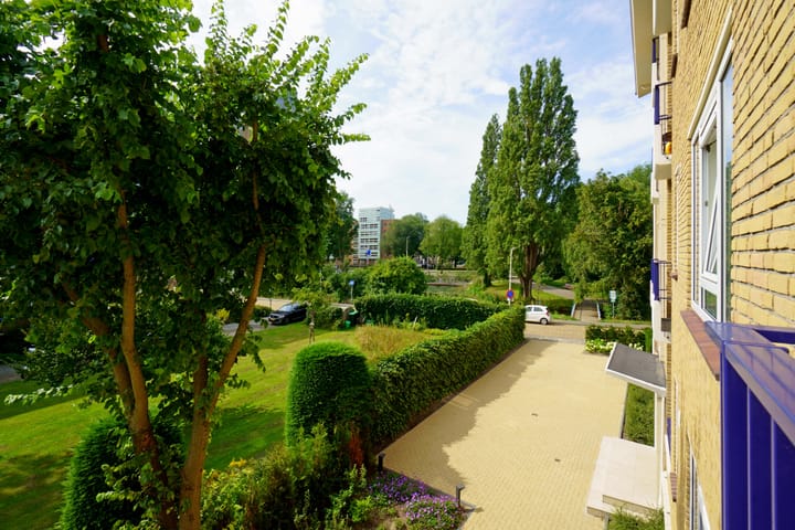 Foto 36 van Stadhoudersplantsoen 154