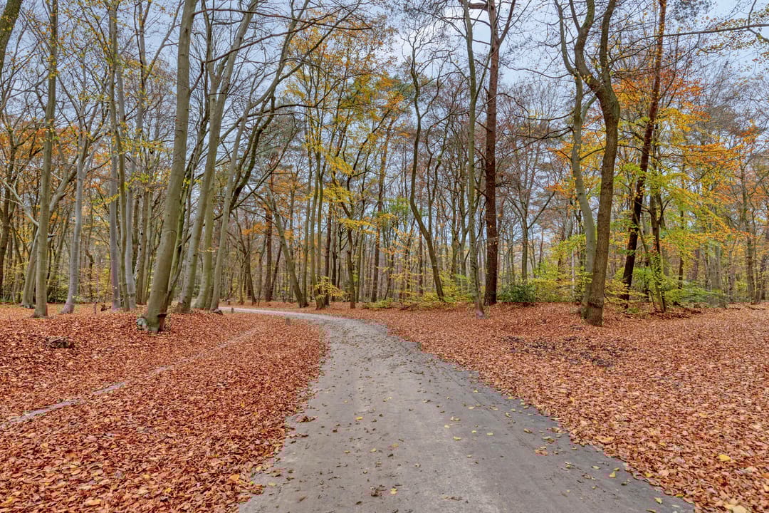 Foto 53 van Willem Alexanderlaan 62