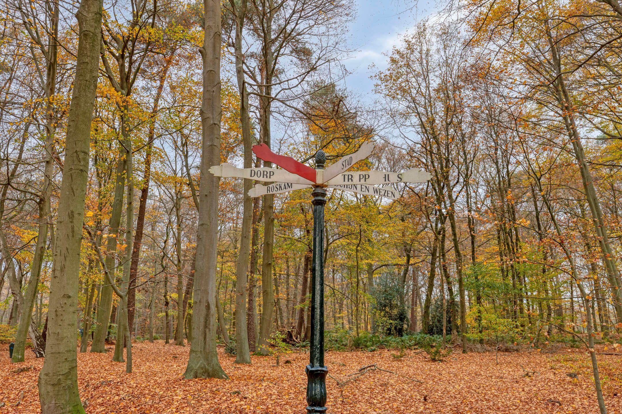 Foto 54 van Willem Alexanderlaan 62