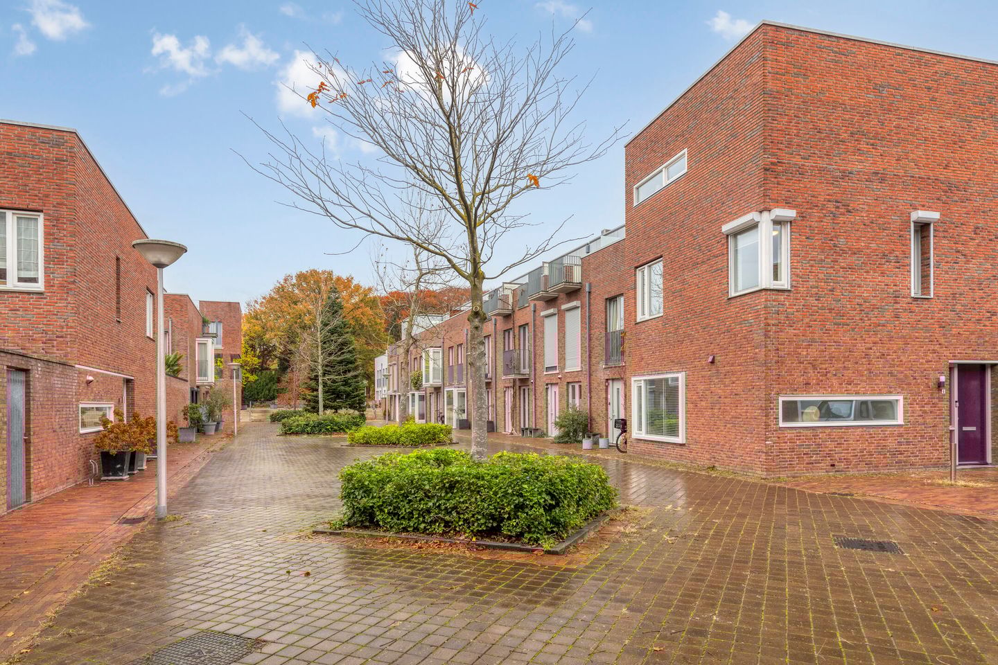 Foto 5 van Zomereik 4