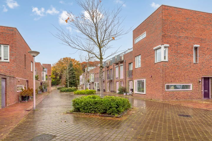 Foto 5 van Zomereik 4