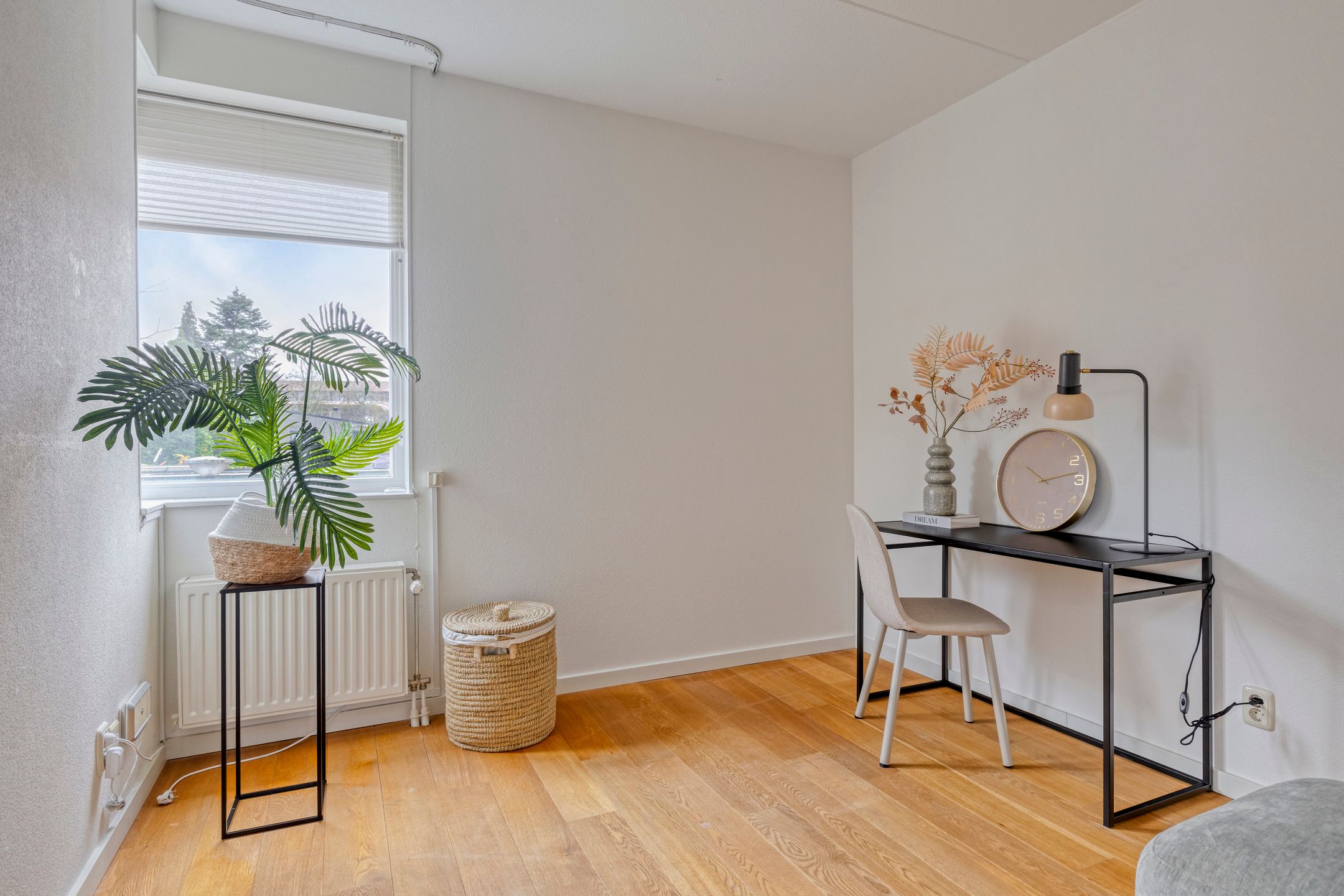 Foto 18 van Zomereik 4