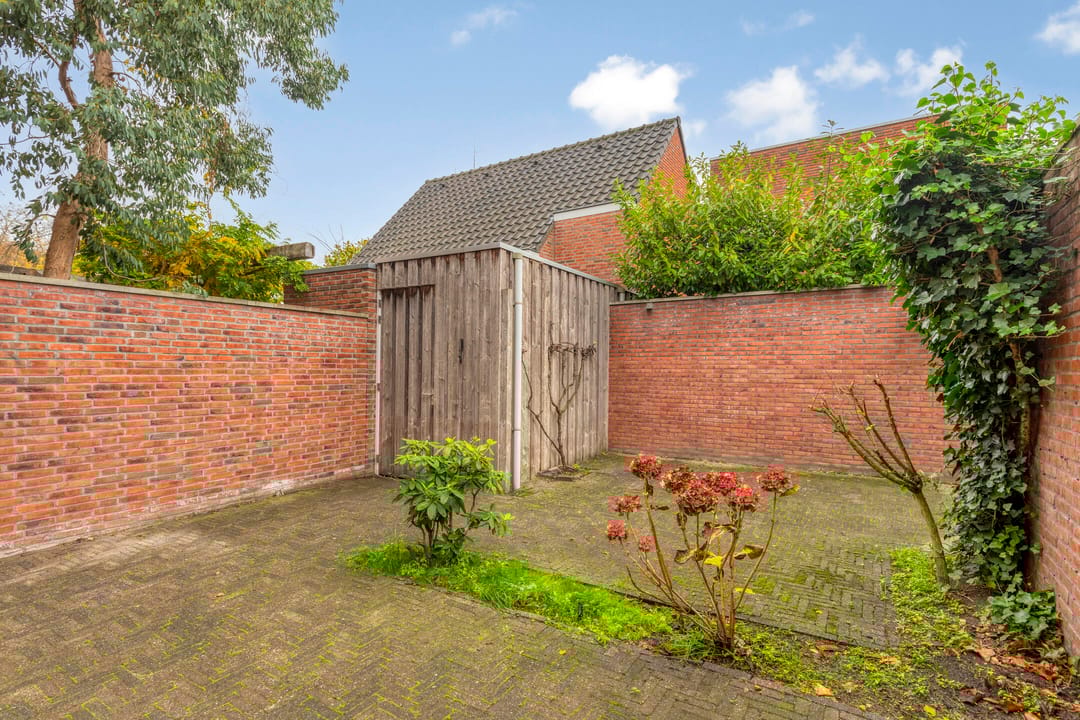 Foto 32 van Zomereik 4