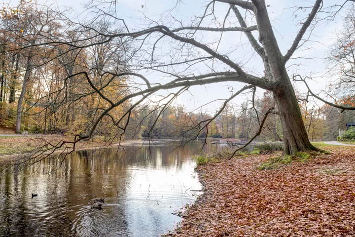 Photo 42 of Van Spaenstraat 76