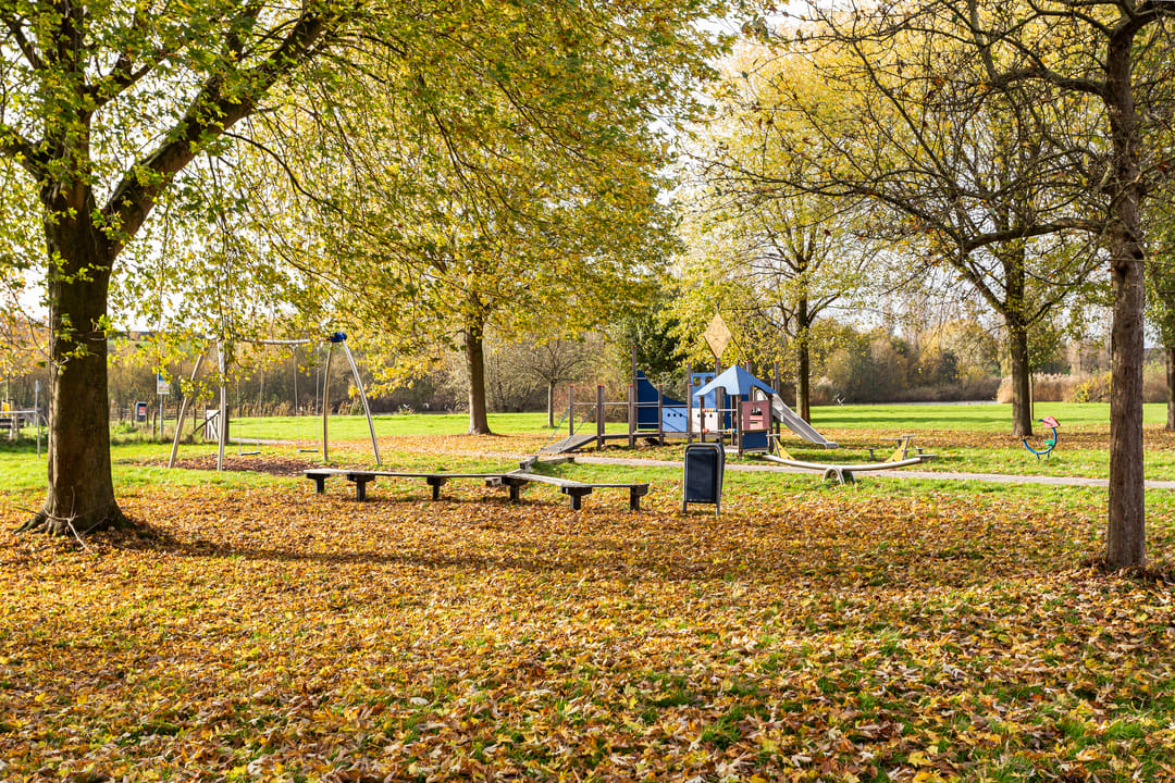 Foto 38 van Zevenblad 39