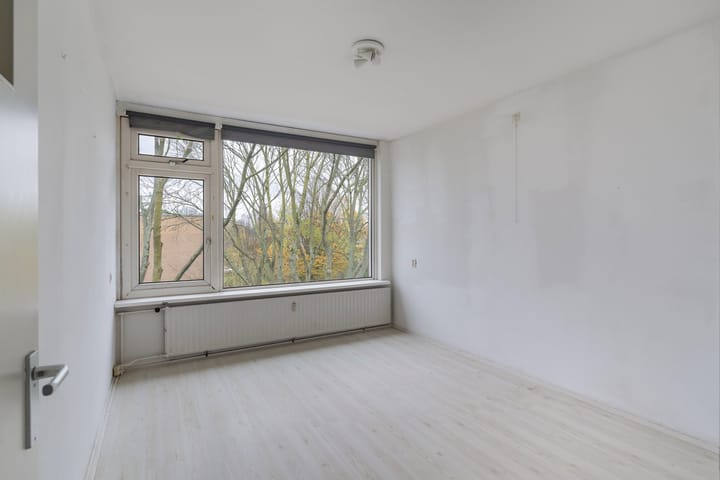 Foto 6 van Dalenoord 113