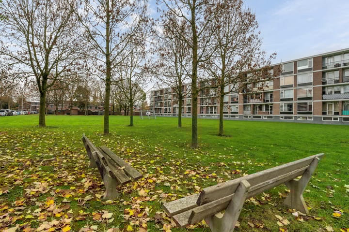 Foto 11 van Dalenoord 113