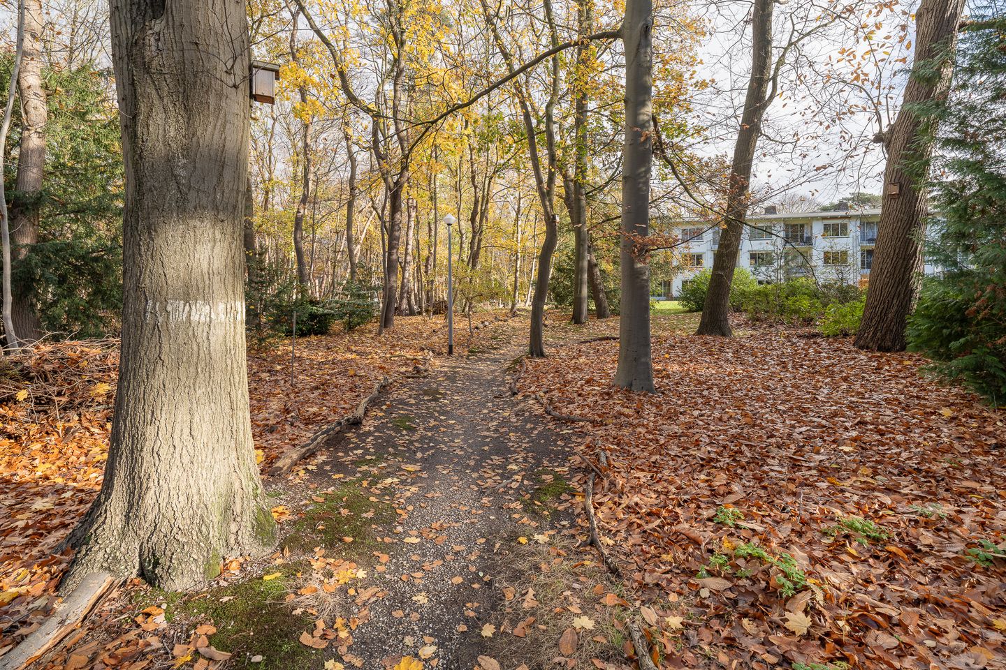 Foto 29 van Kroonlaan 50