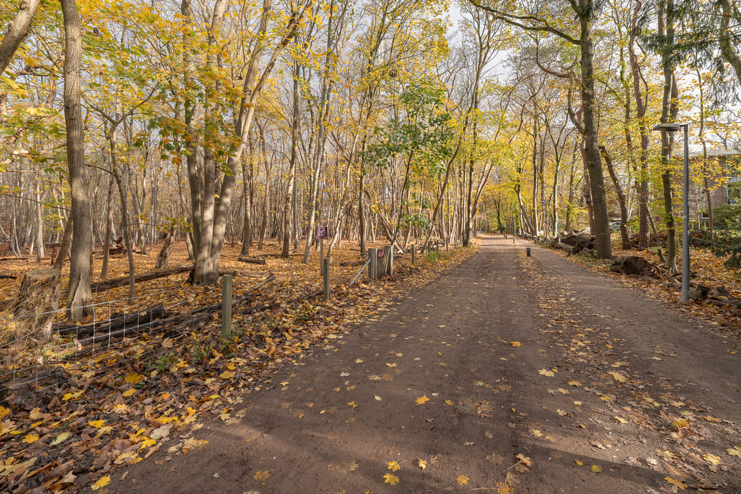 Foto 31 van Kroonlaan 50