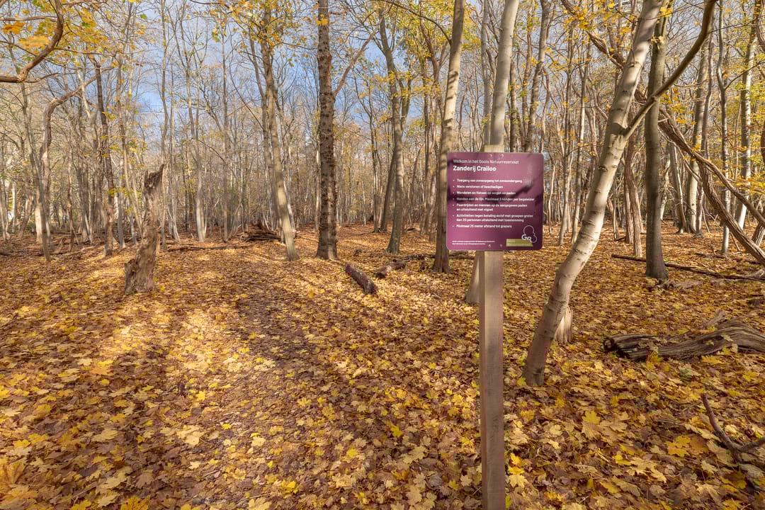 Foto 32 van Kroonlaan 50