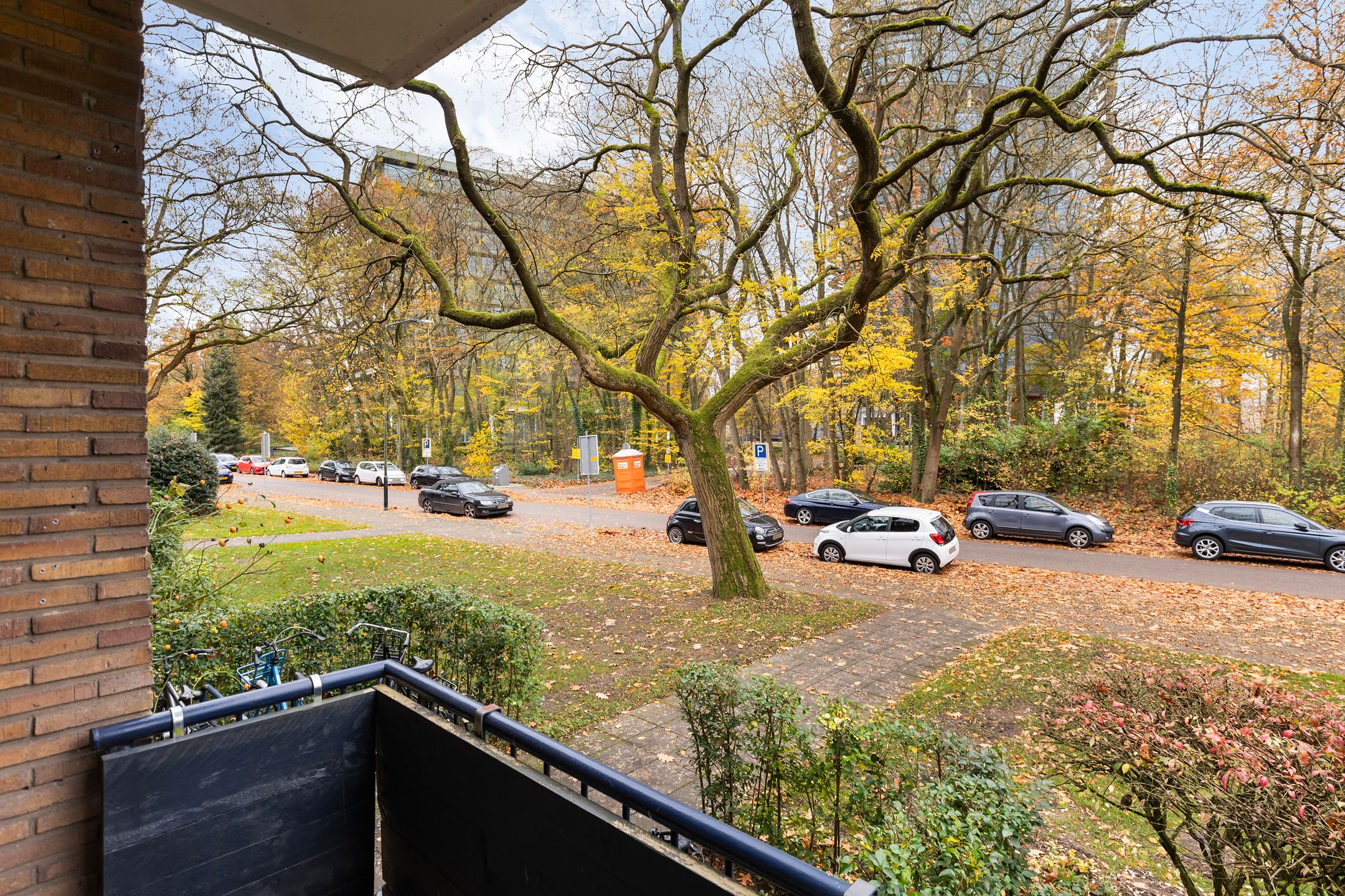 Foto 18 van Waltersingel 20