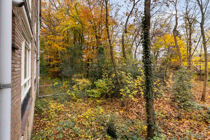 Photo 25 of Waltersingel 20