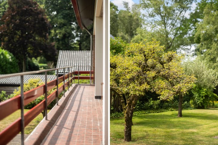 Foto 48 van Berkenlaan 3