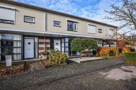 undefined main image