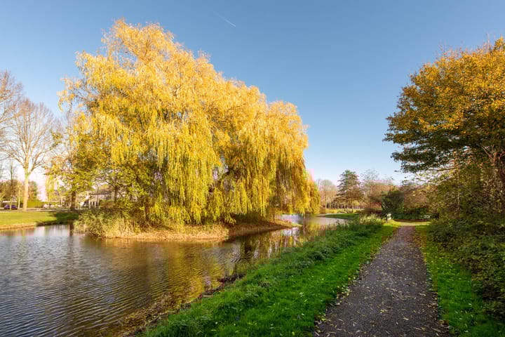 Foto 41 van Langewerf 22