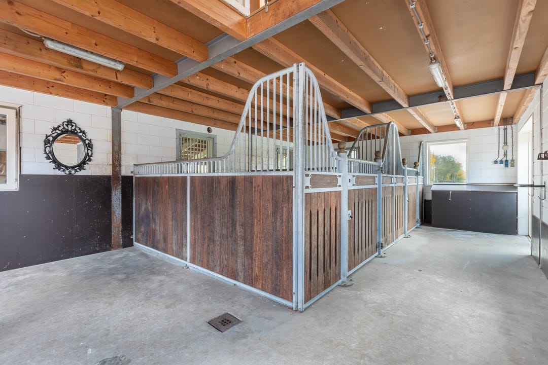 Photo 52 of Tjalling Harkeswei 63