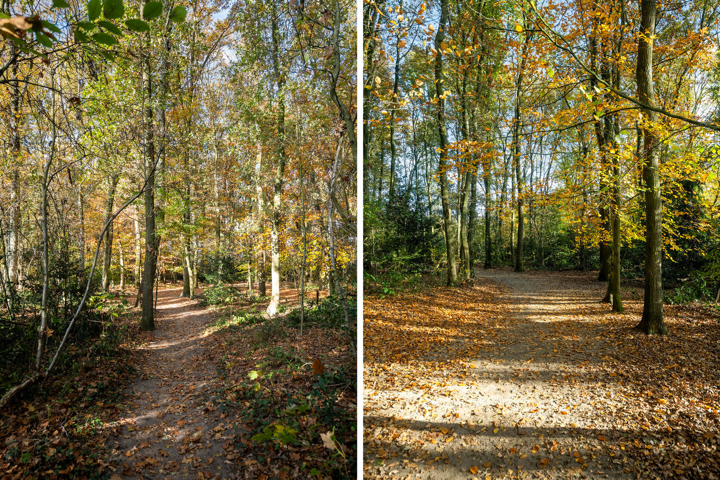 Foto 4 van Henri Dunantstraat 93