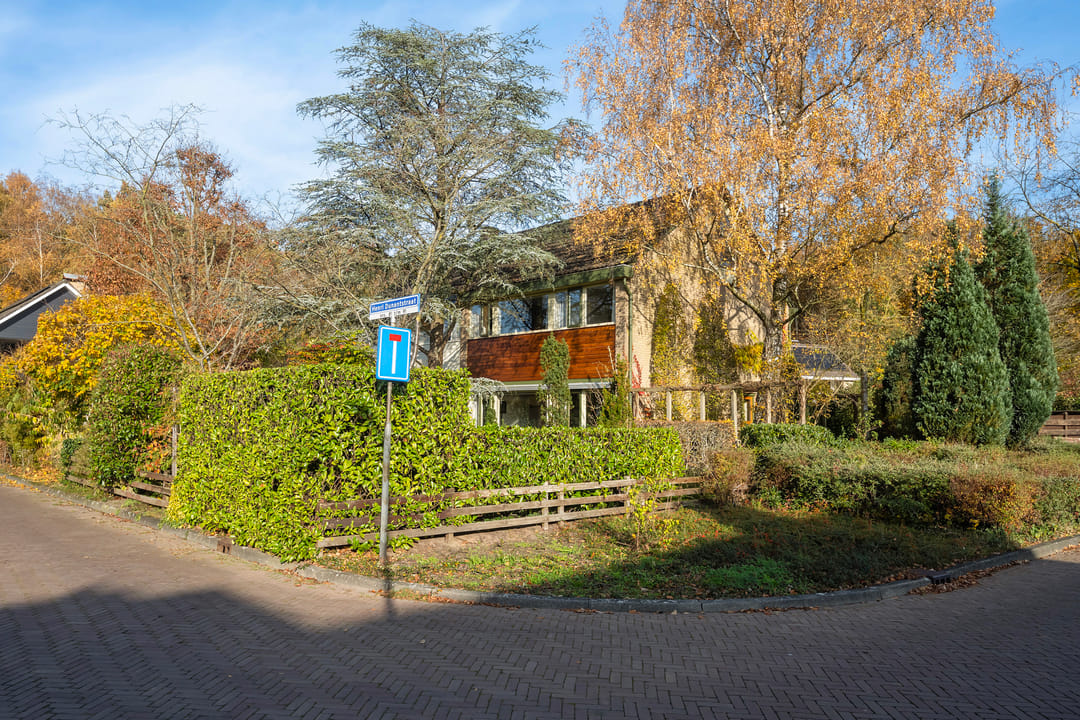 Foto 31 van Henri Dunantstraat 93