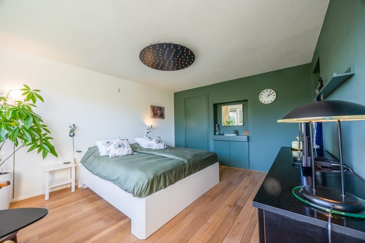 Foto 25 van Alligatorstraat 29